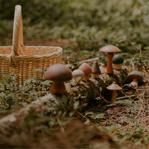Mushroom Forest Stack