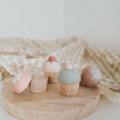 Cupcakes Set
